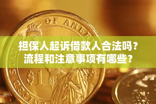 武汉担保人起诉借款人合法吗？流程和注意事项有哪些？