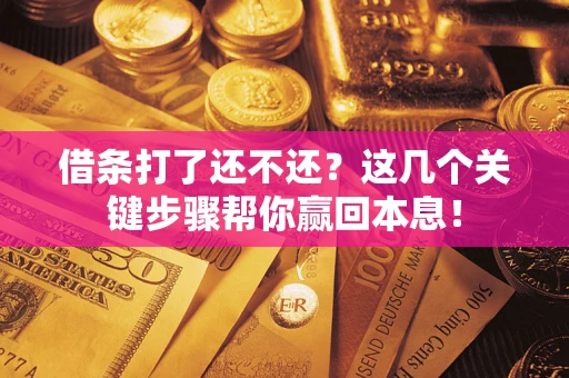 武汉借条打了还不还？这几个关键步骤帮你赢回本息！