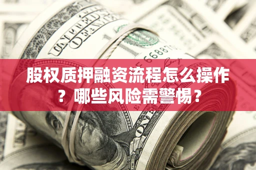 武汉股权质押融资流程怎么操作？哪些风险需警惕？