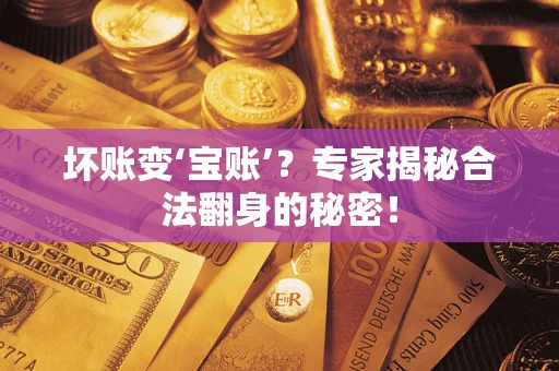 武汉坏账变‘宝账’？专家揭秘合法翻身的秘密！
