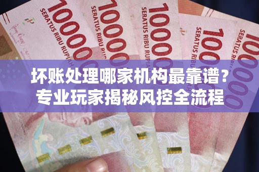 武汉坏账处理哪家机构最靠谱？专业玩家揭秘风控全流程