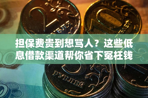 武汉担保费贵到想骂人？这些低息借款渠道帮你省下冤枉钱