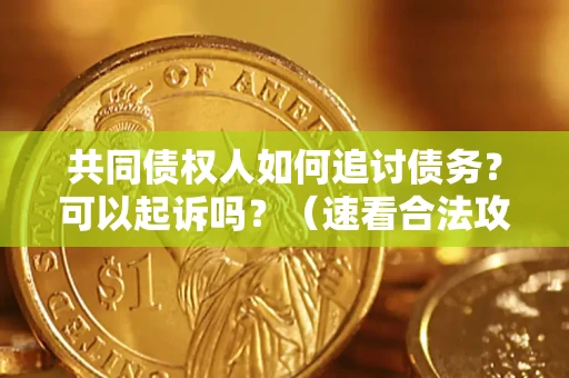 武汉共同债权人如何追讨债务？可以起诉吗？（速看合法攻略）