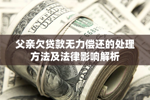 武汉父亲欠贷款无力偿还的处理方法及法律影响解析