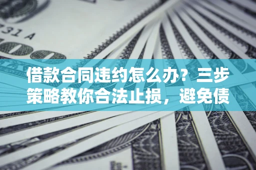 武汉借款合同违约怎么办？三步策略教你合法止损，避免债务危机升级