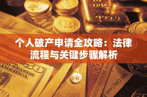 武汉个人破产申请全攻略：法律流程与关键步骤解析