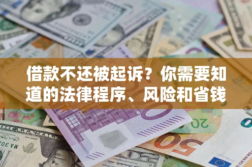 武汉借款不还被起诉？你需要知道的法律程序、风险和省钱技巧